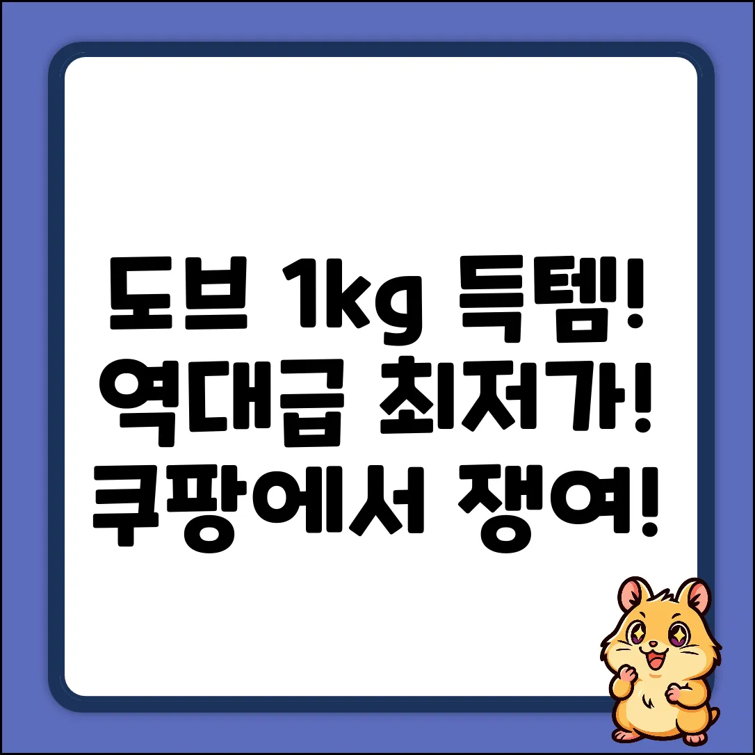 ✔️ 득템! 도브 바디워시 1kg 놀라운 가격