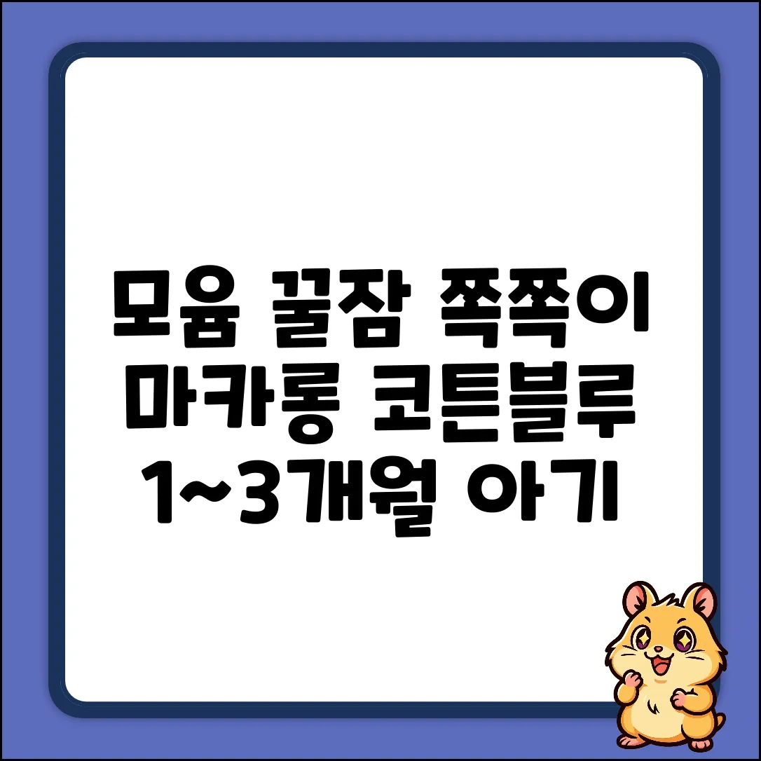 모윰 마카롱 쪽쪽이: 코튼블루 꿀잠템 (1~3개월