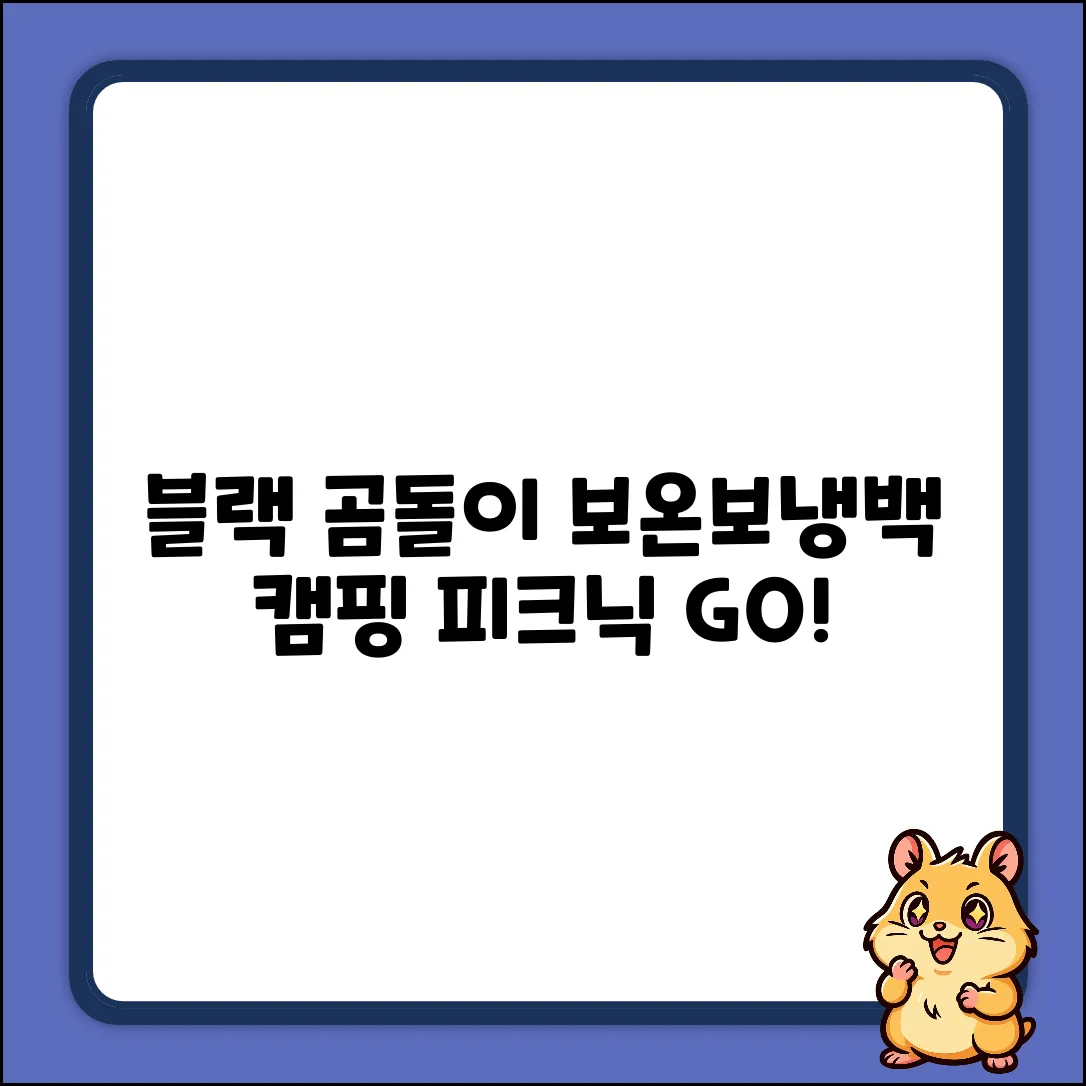 블랙 곰돌이 보온보냉백: 캠핑 피크닉 완벽 가이드 (디에스, 1개