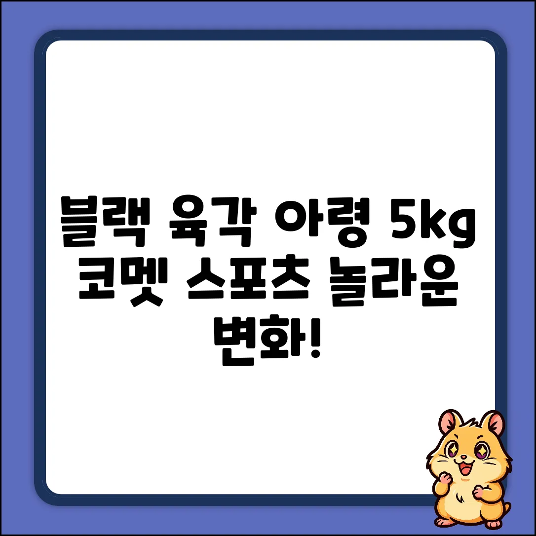코멧 스포츠 5kg 육각 아령: 블랙 덤벨 2개로 만드는 놀라운 변화!