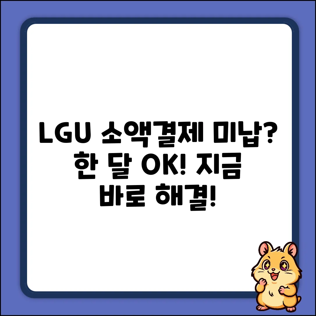 LGU+소액결제 미납 한 달? 쉽게 해결!