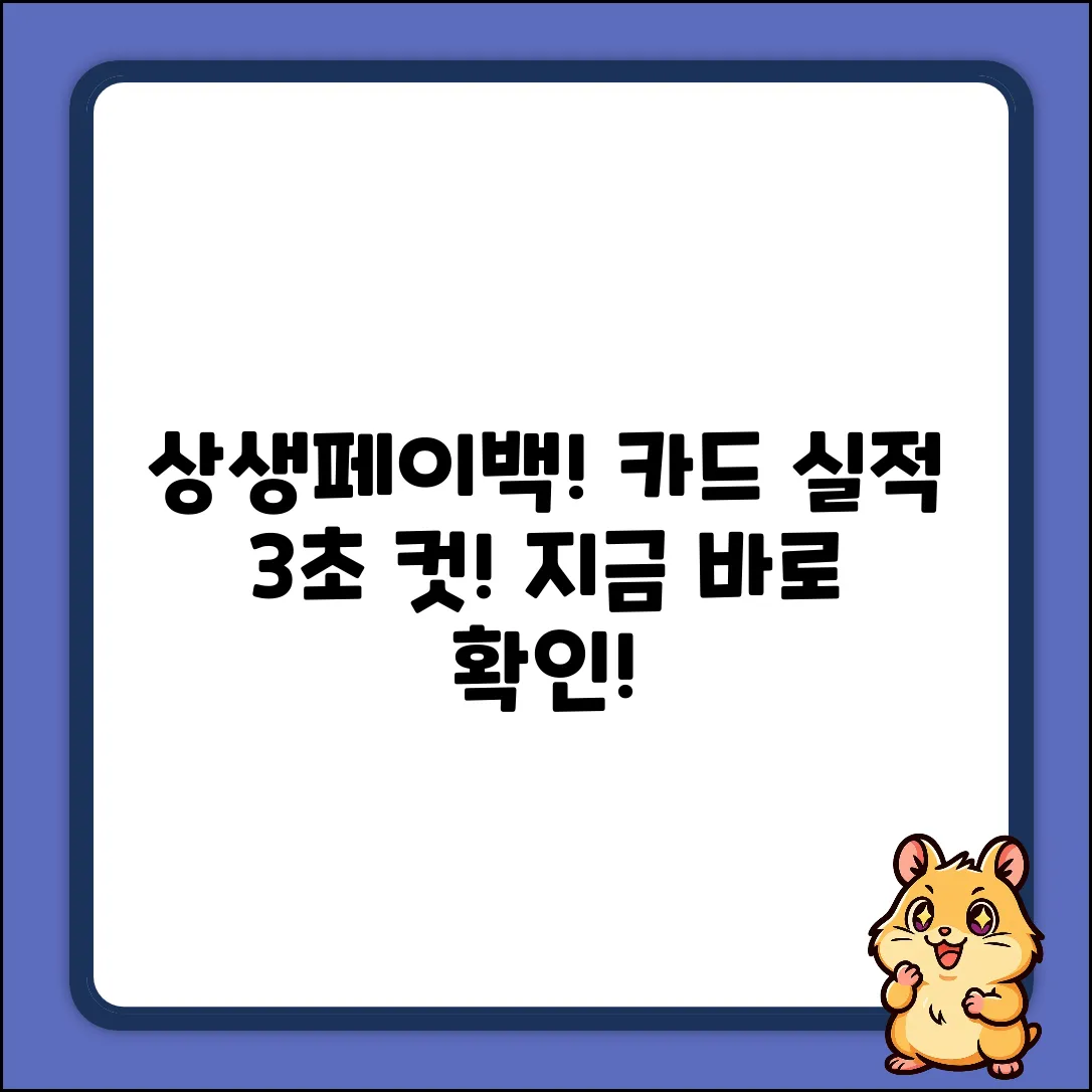 상생페이백, 작년 카드 실적 3초 확인!