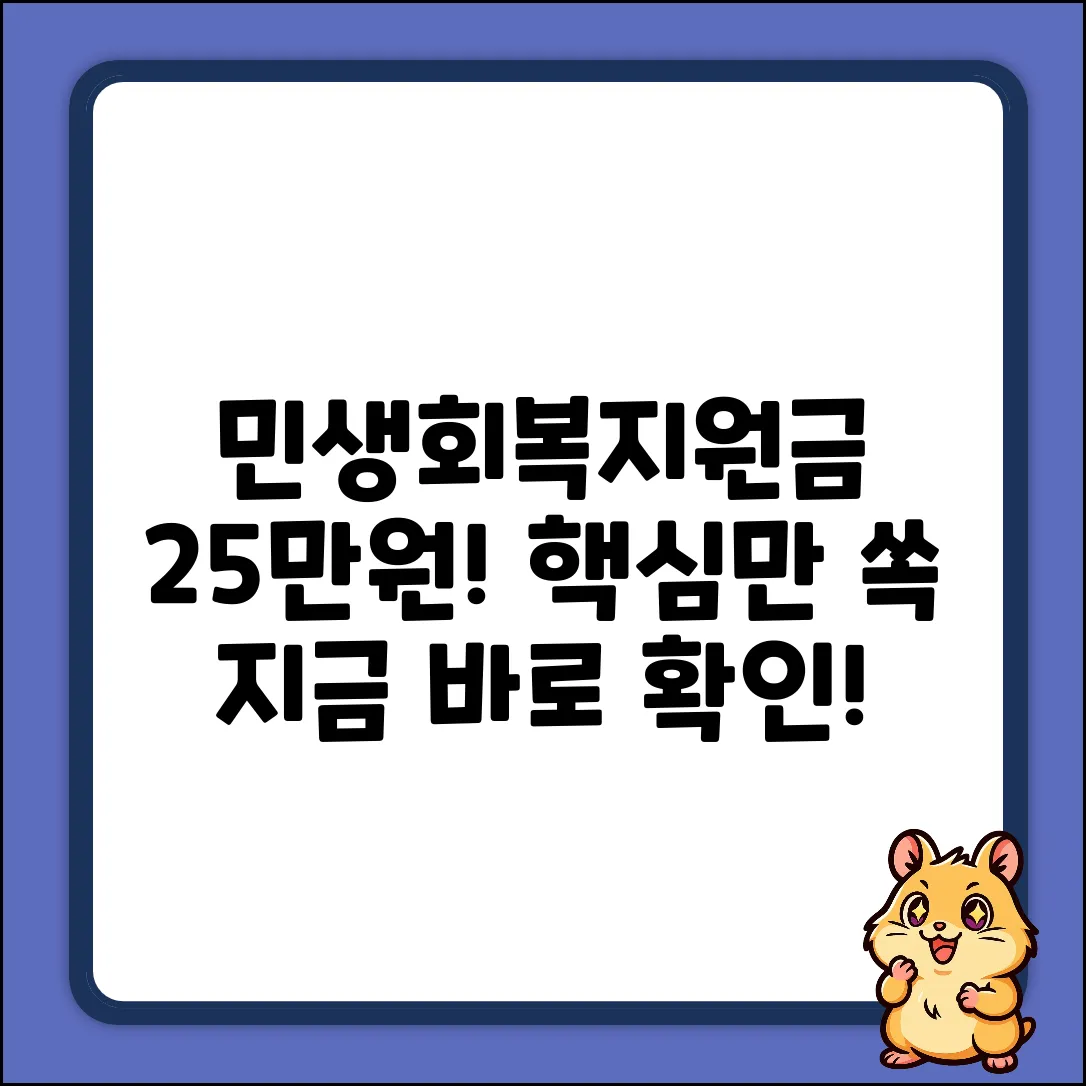 민생회복지원금(25만원) 완벽 가이드: 핵심만 쏙!
