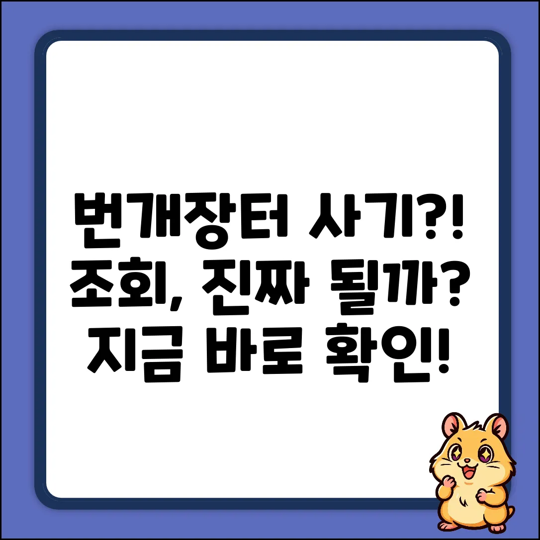 번개장터 사기 이력, 조회 가능할까요?