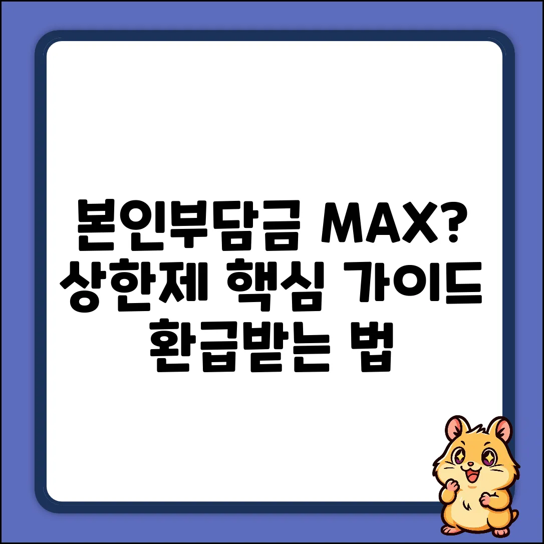 건강보험 본인부담상한제 질문: 핵심만 쏙쏙 가이드