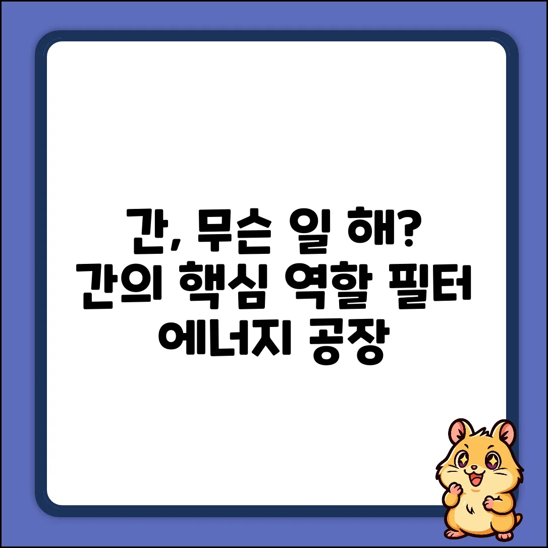 간의 주요 역할, 알고 계셨나요?