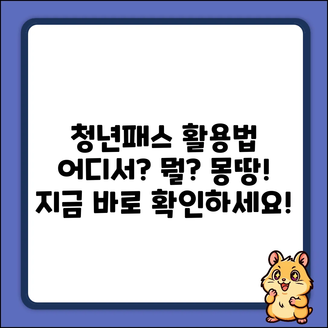 청년패스, 어디에? 완벽 사용 가이드