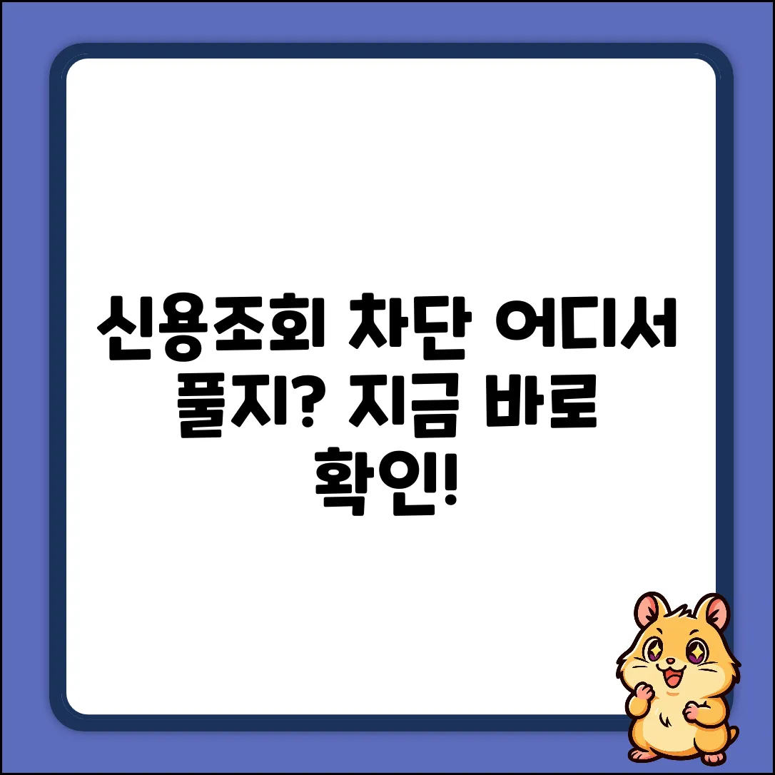 신용조회 차단, 어디서 풀 수 있을까요?