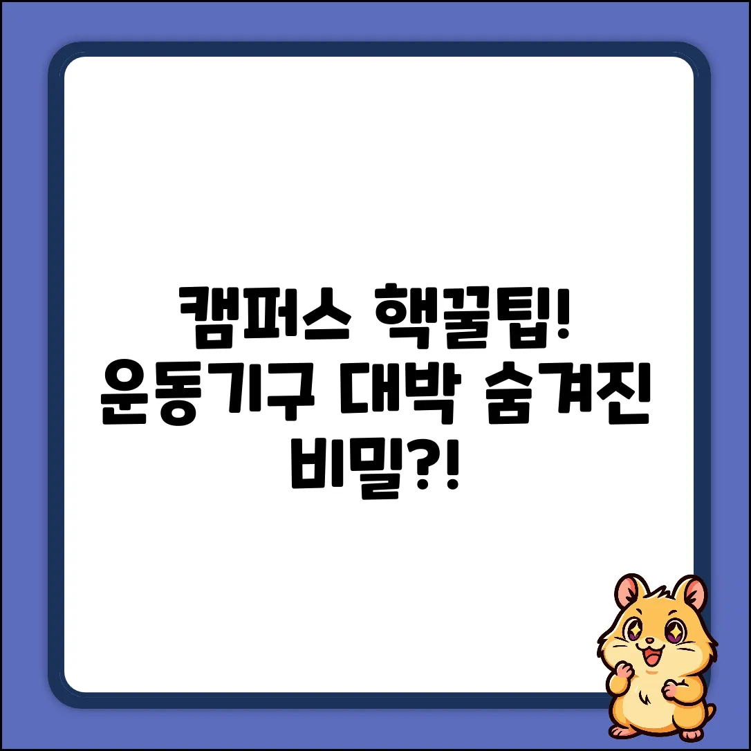 캠퍼스 안 체력단련 운동기구? 대박 비밀!