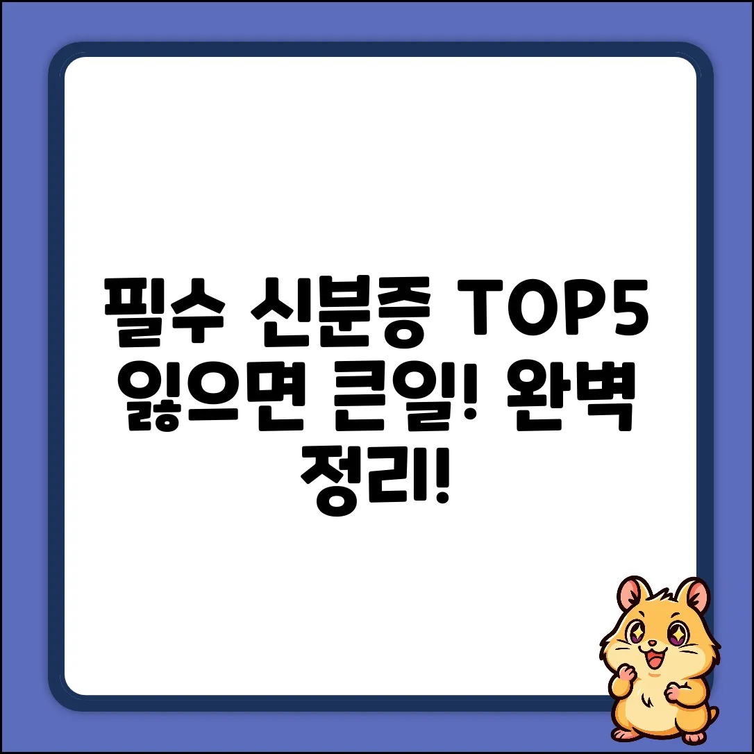 필수 신분증명서 5가지 완벽 정리!