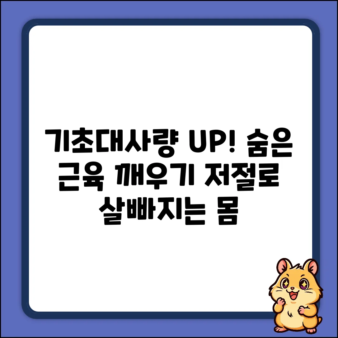 기초대사량 UP! 숨겨진 근육, 알고보니?