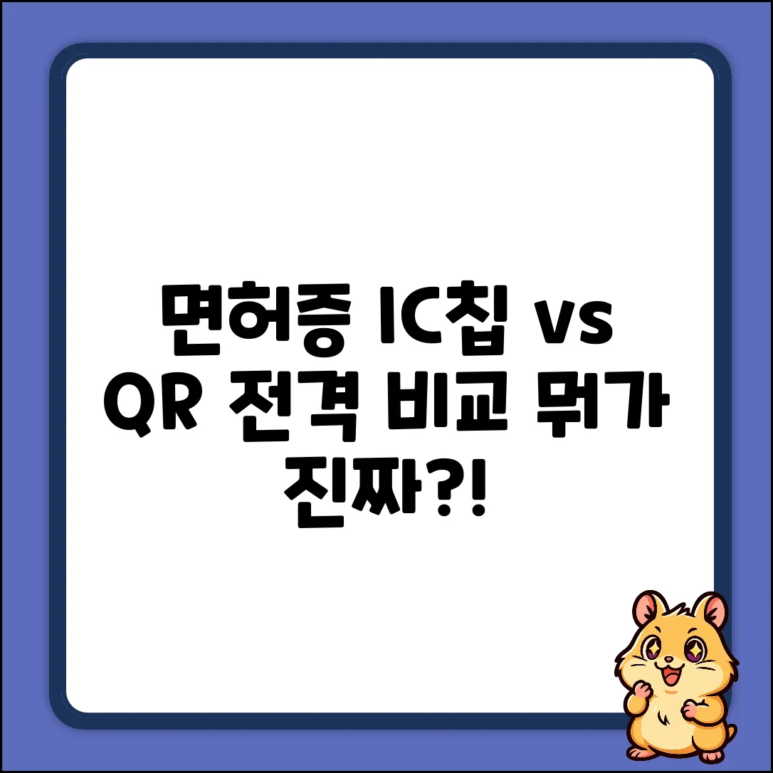 모바일 운전면허증: IC칩 vs QR 완벽 비교