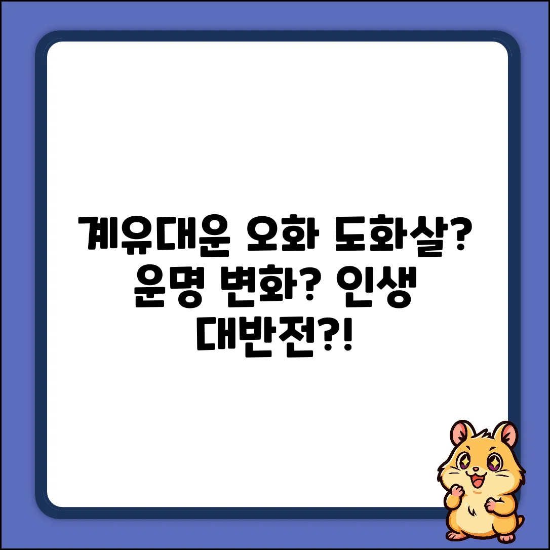 계유대운 오화, 도화살일까? 운명적 변화일까?