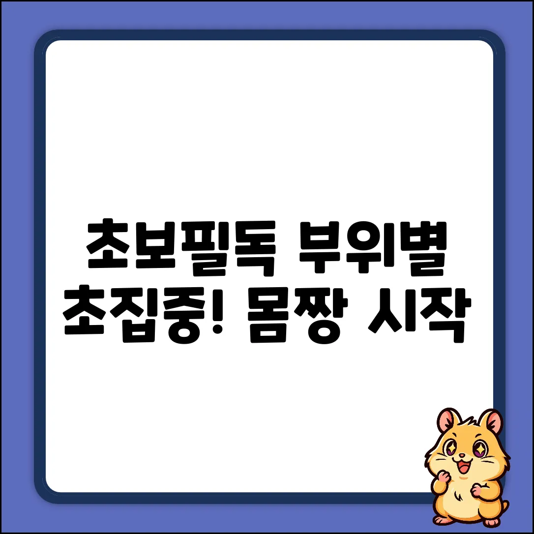부위별 단련, 초보도 쉽게! 집중 트레이닝?
