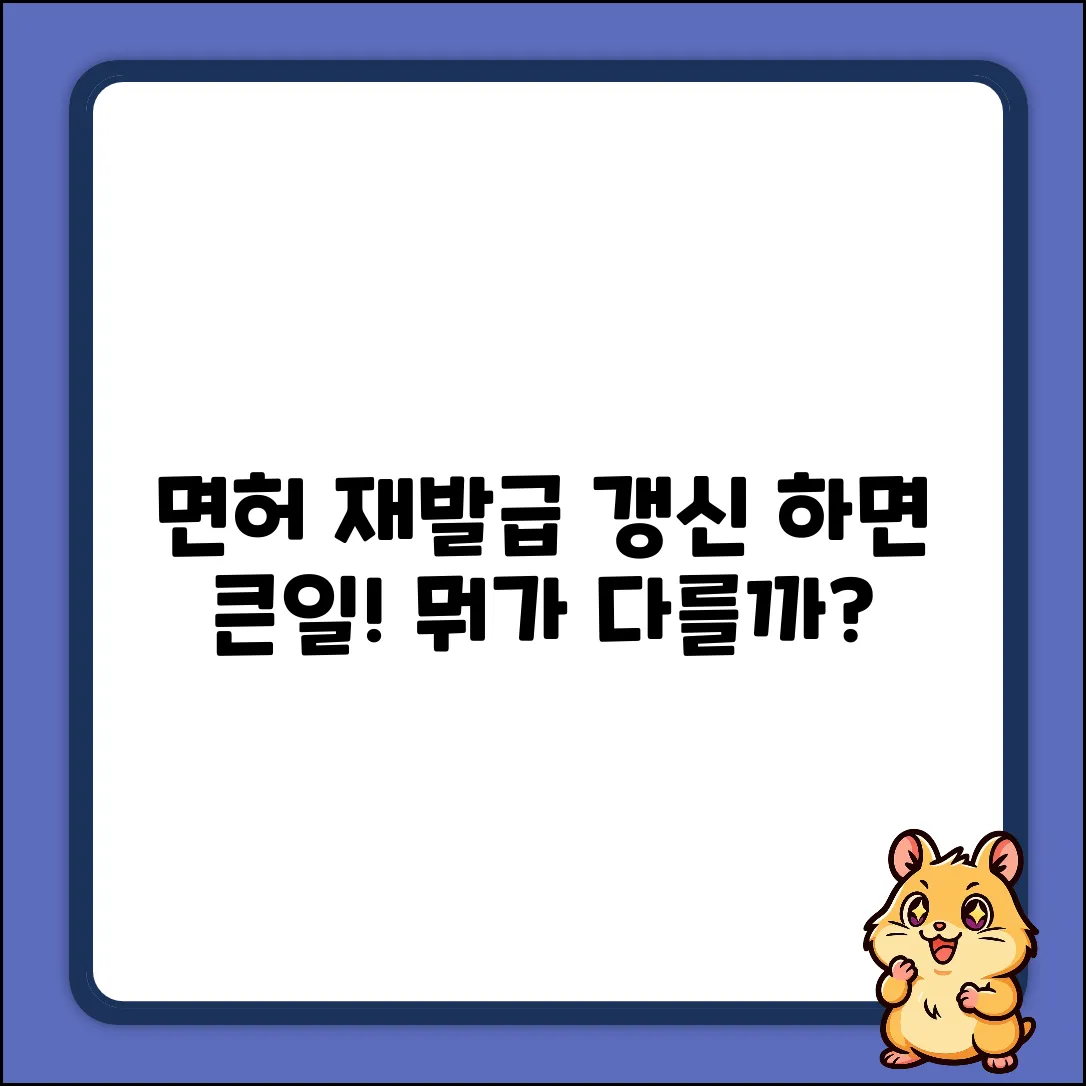 면허증 재발급 vs 갱신, 뭐가 다를까?