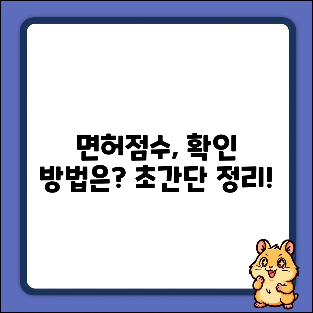 내 운전면허 점수, 확인 방법은?