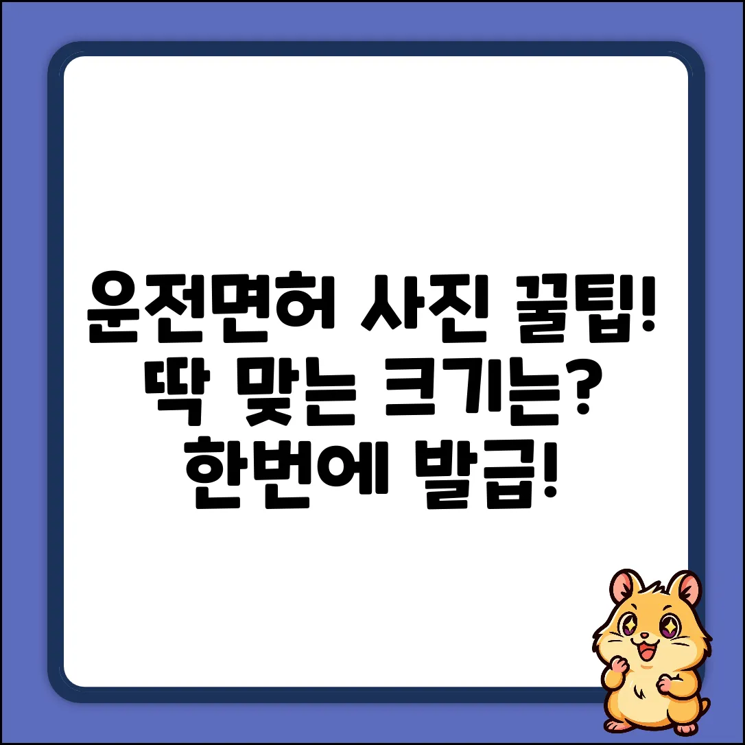 운전면허 사진, 딱 맞는 크기? 발급꿀팁!