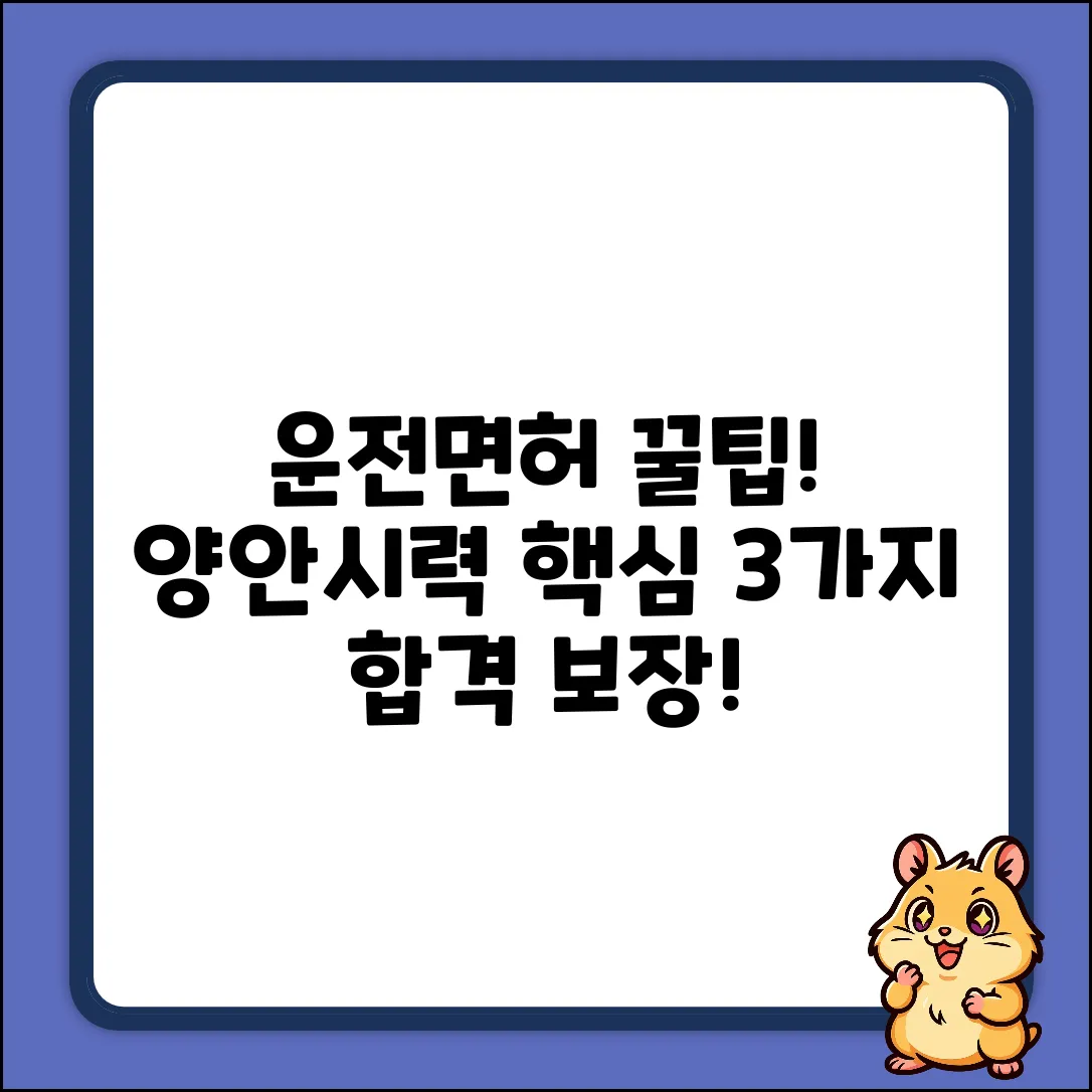 운전면허 적성검사: 양안시력 3가지 핵심!