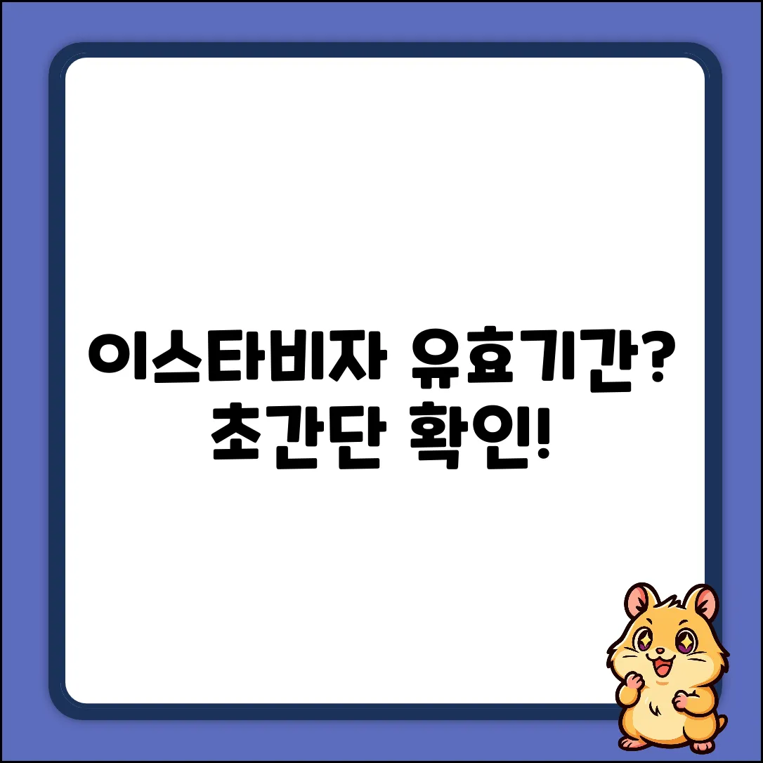 이스타비자 유효기간, 쉽게 찾는 법은?