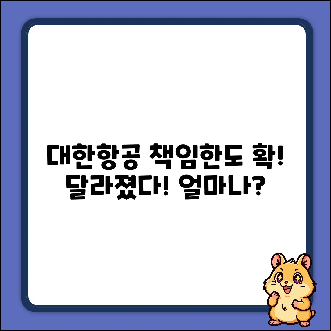 대한항공 책임한도액, 얼마나 달라졌나?