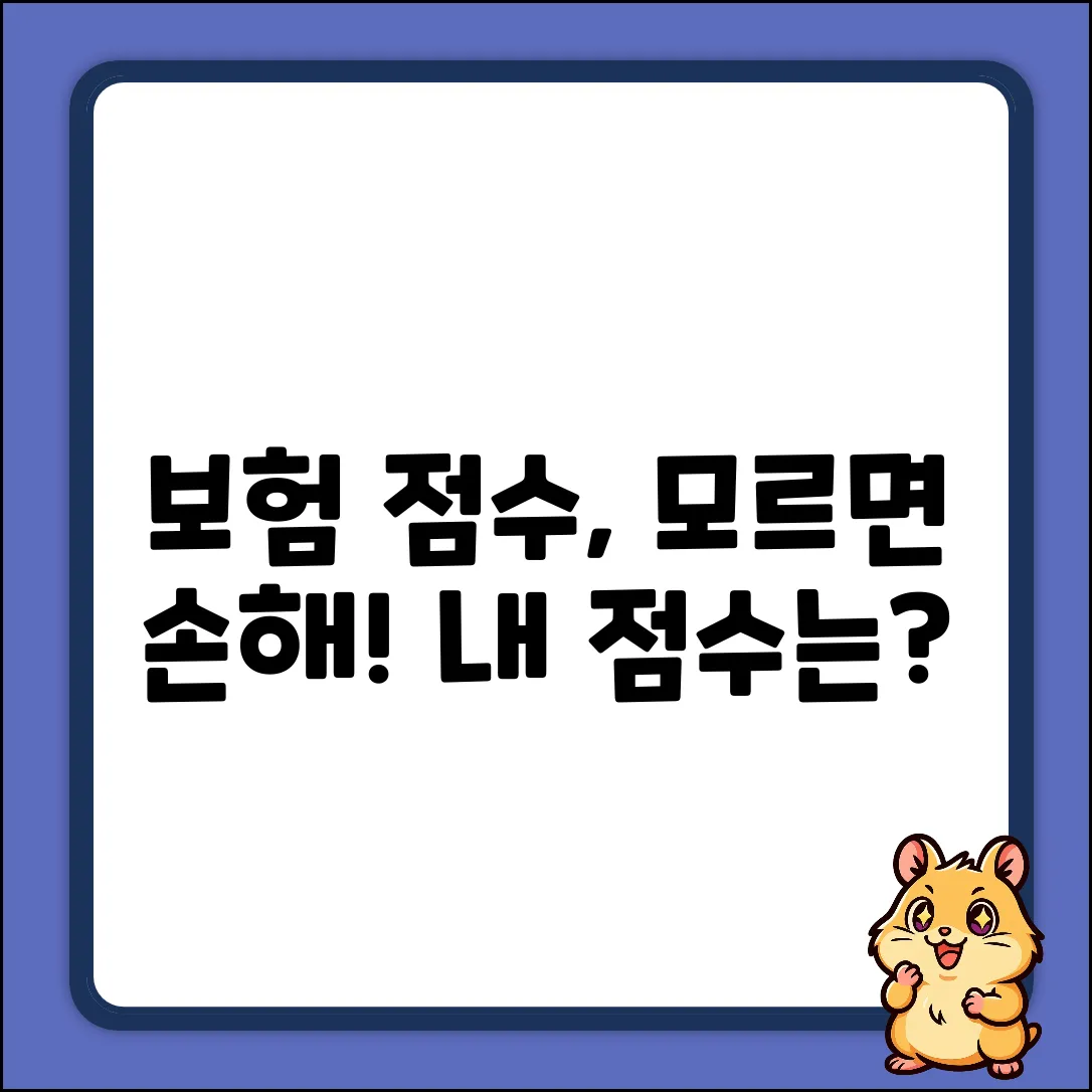 보험 점수, 얼마나 알고 계신가요?