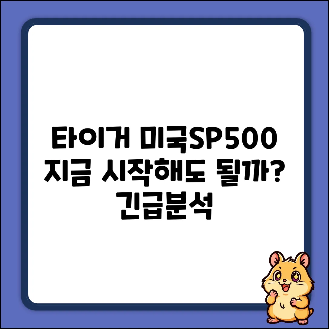 타이거미국SP500, 지금 시작해도 괜찮을까?