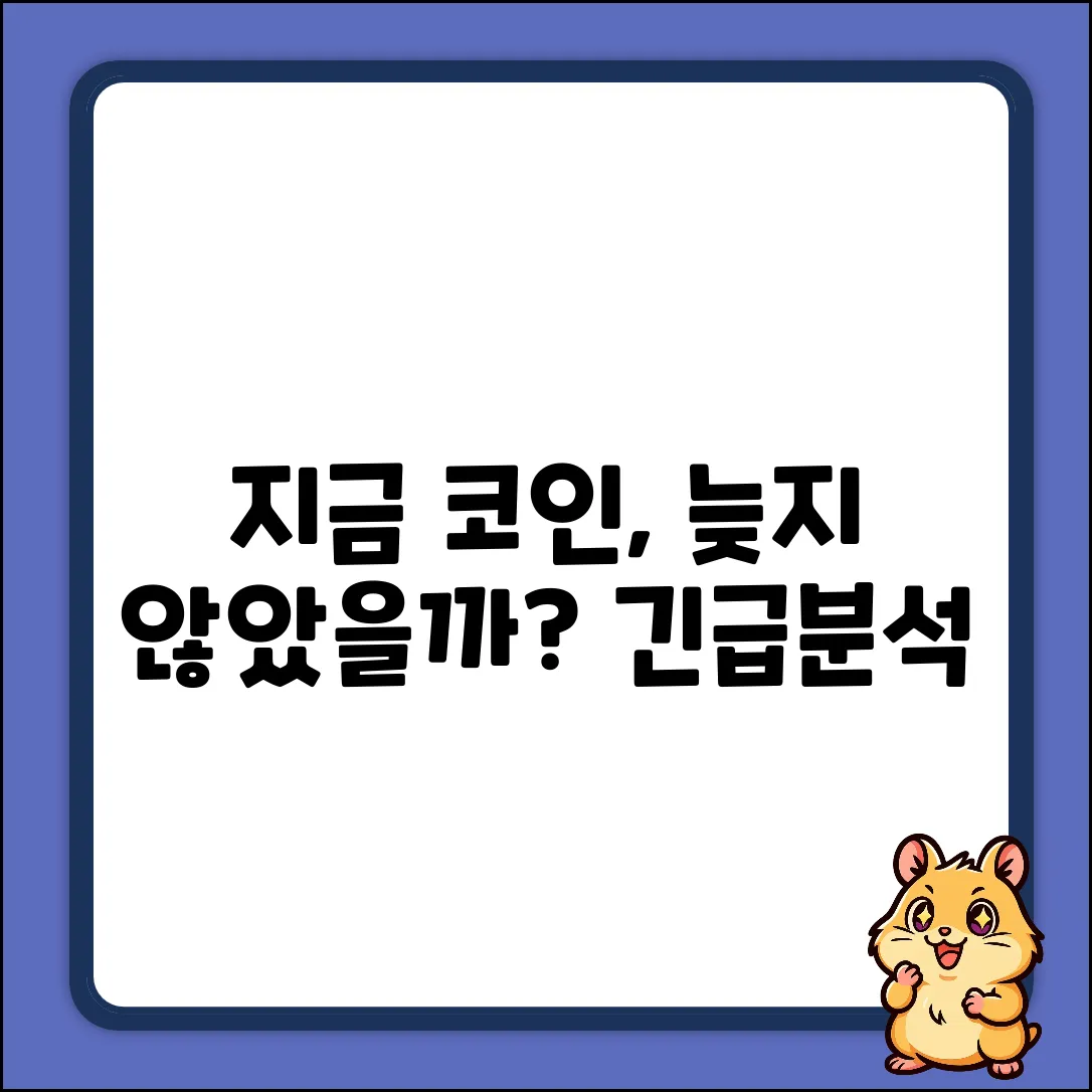 가상자산거래, 지금 시작해도 괜찮을까?