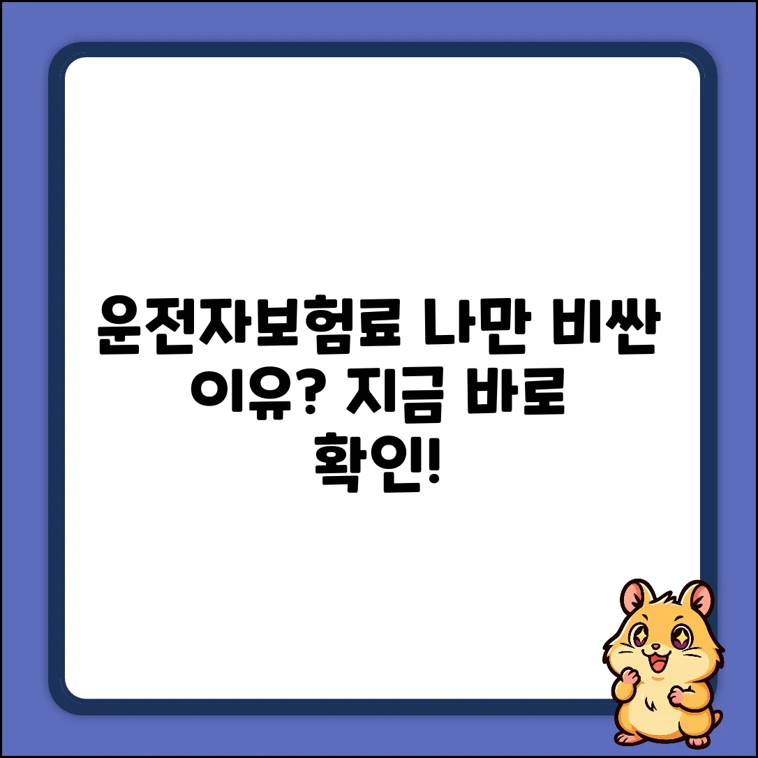 운전자보험료, 왜 나만 비쌀까?