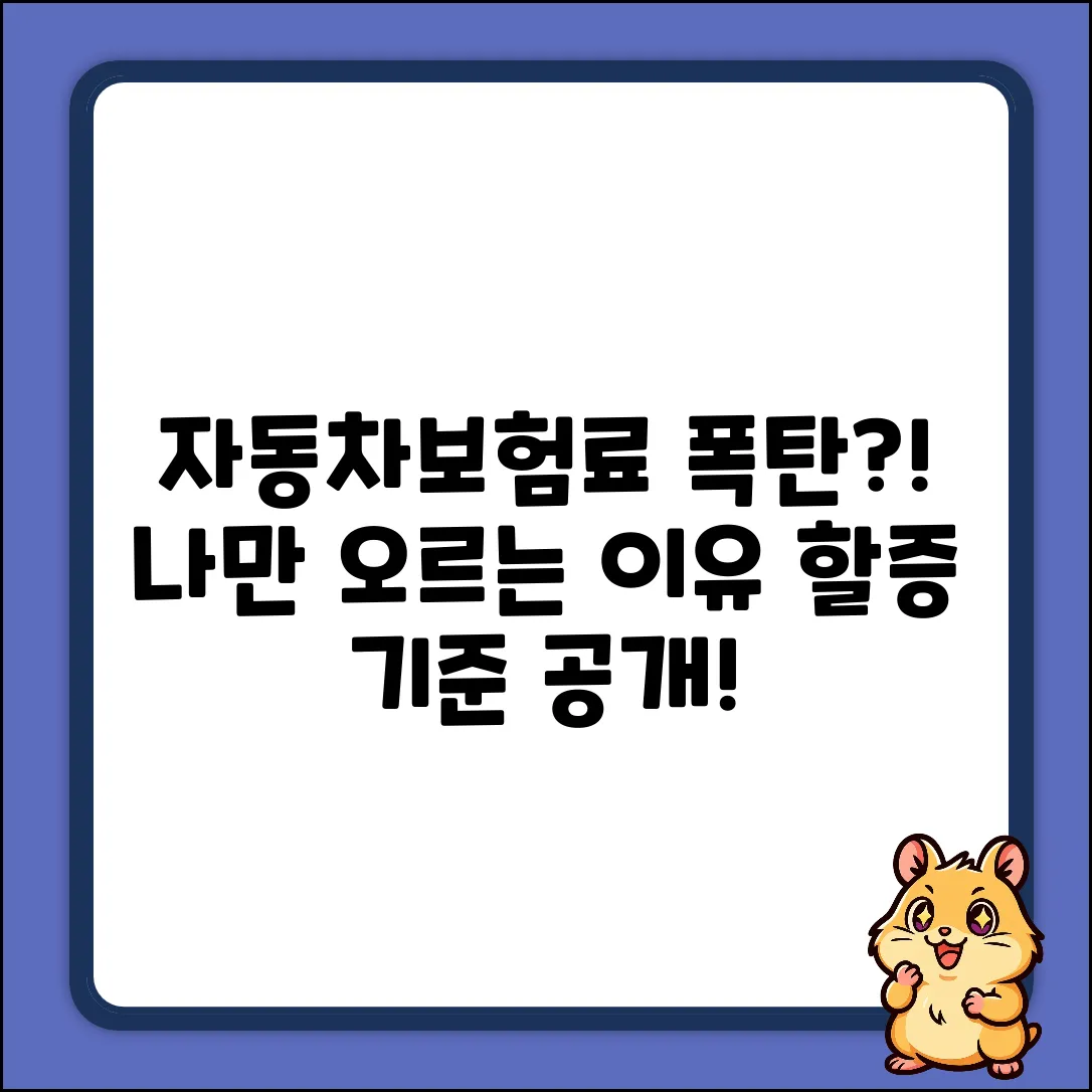 자동차보험 할증기준, 나만 오르는 이유?