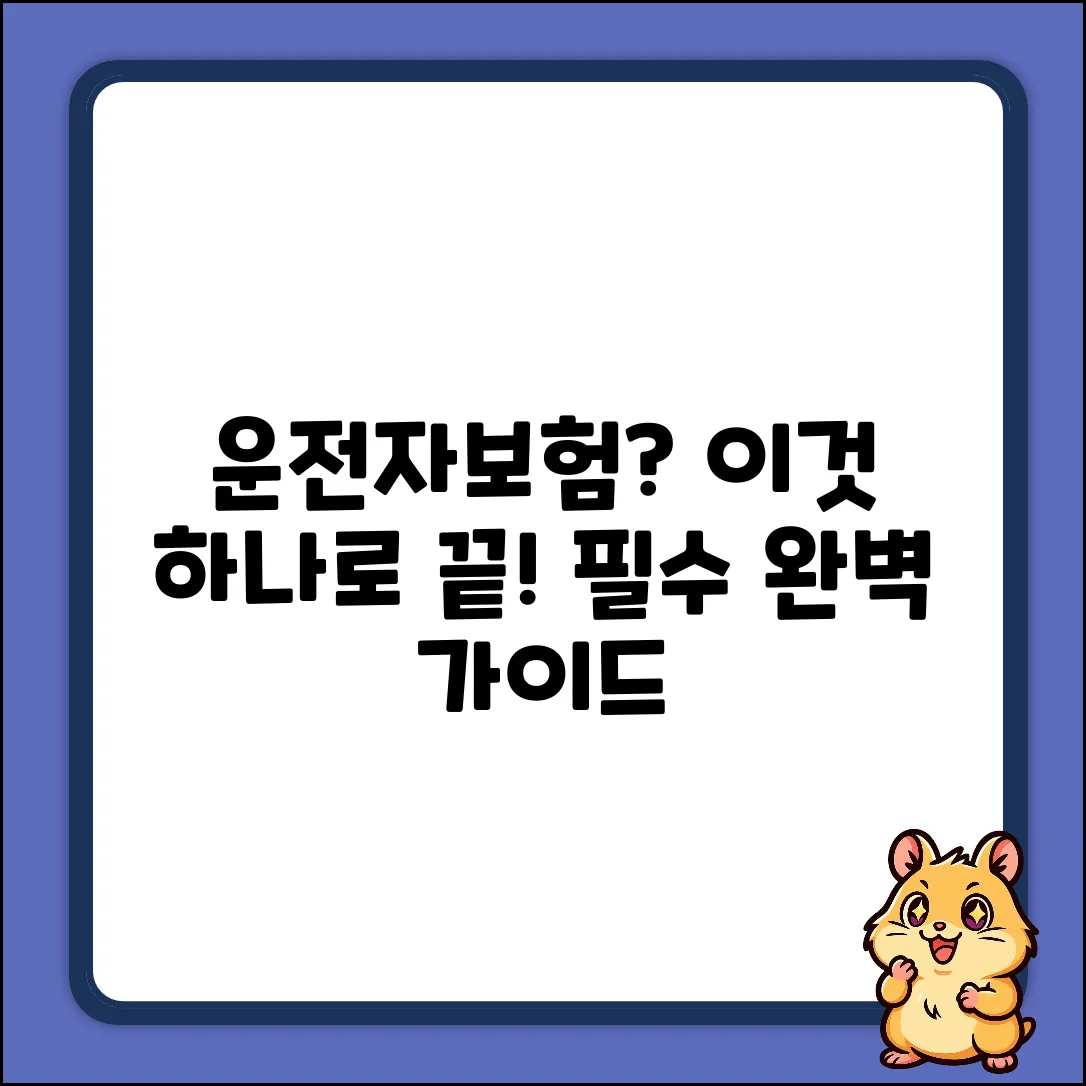 운전자보험 하나로 끝내는 완벽 가이드