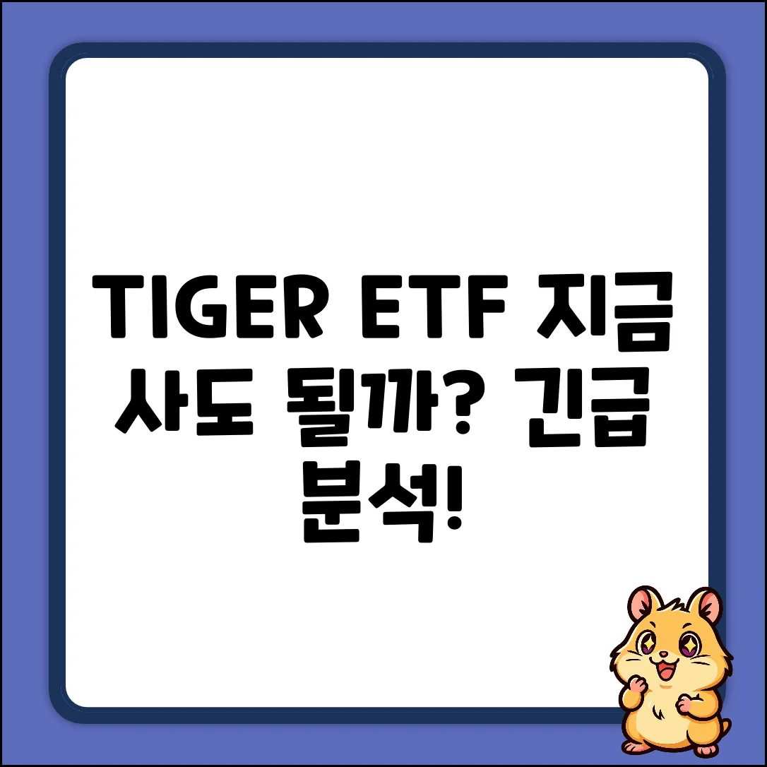 TIGER ETF, 지금 투자해도 괜찮을까?