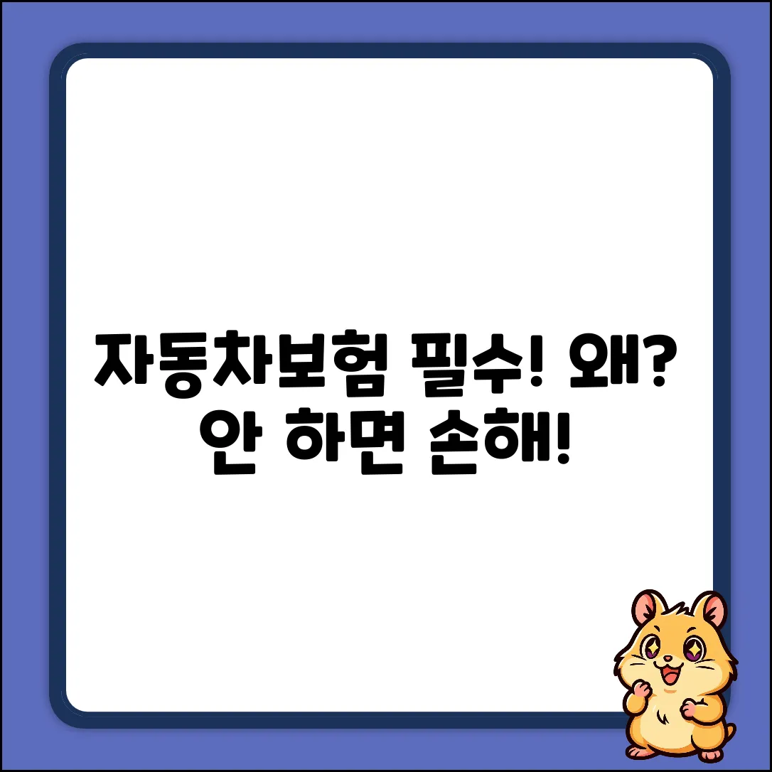 자동차보험 의무, 왜 꼭 필요할까요?