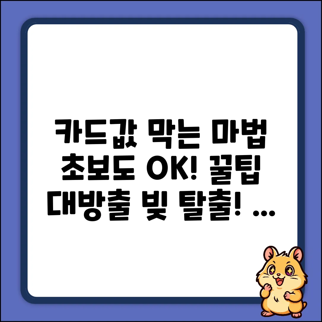 초보도 쉽게! 카드값 막는 마법