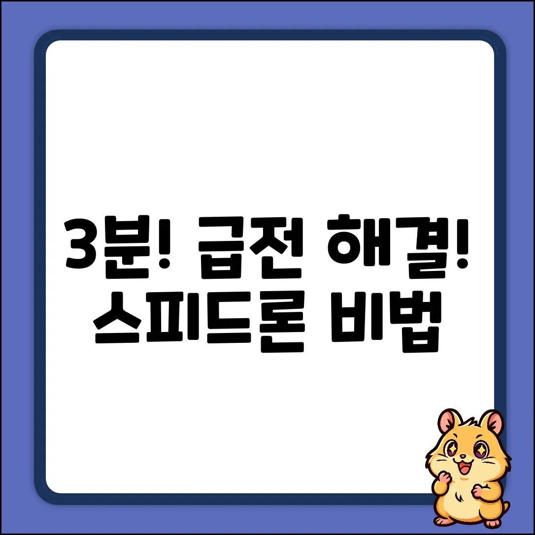스피드론 3분 만에! 급전 해결 비법